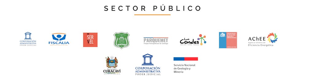 sector publico